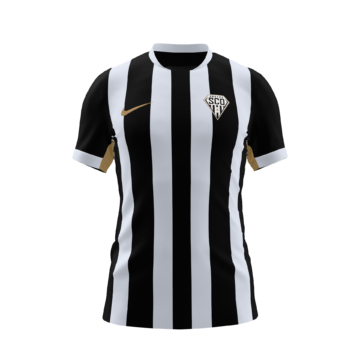 Men's Nike Angers SCO Standard 2026 Jersey