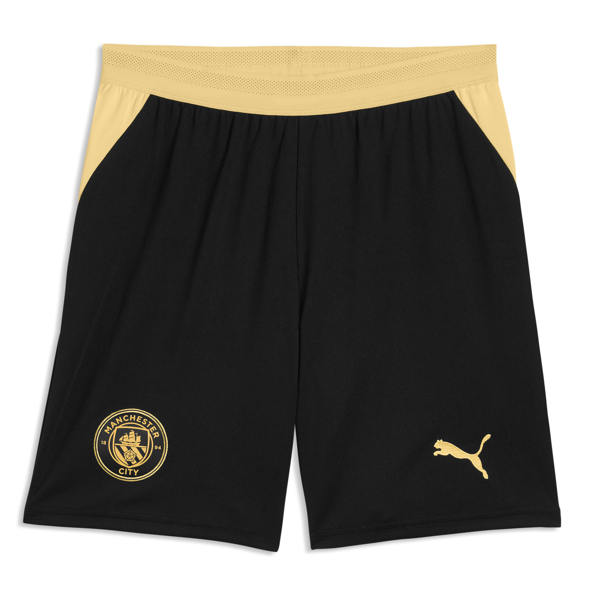 Men's Puma Manchester City Standard 2026 Shorts